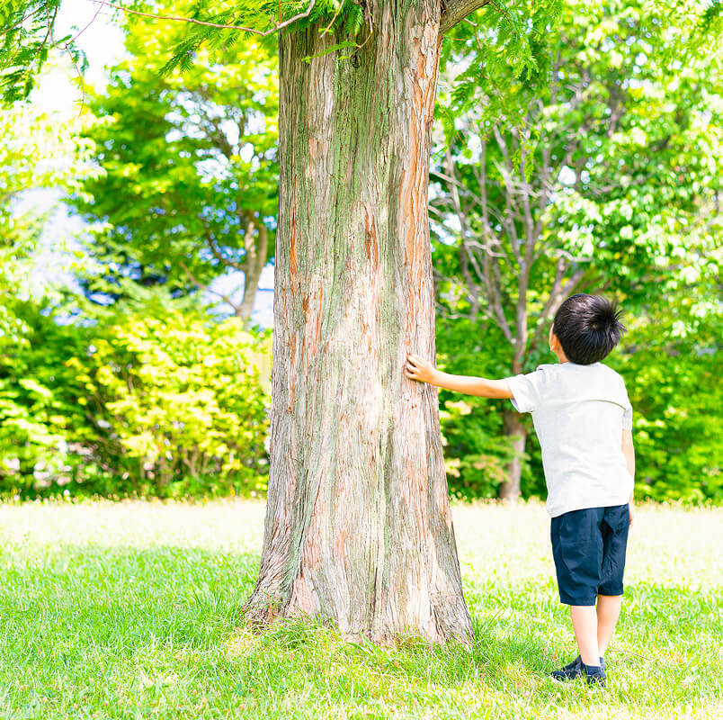 社会貢献イメージ