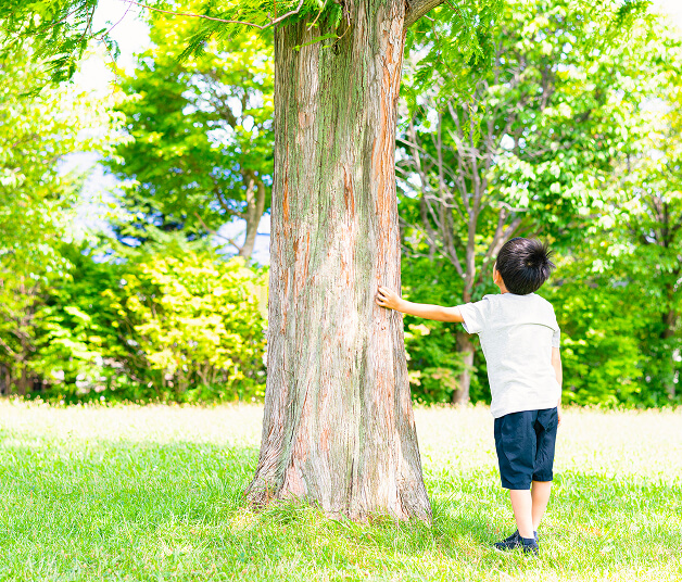 社会貢献イメージ